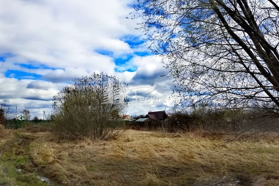 земля городской округ Выкса, деревня Змейка фото 1