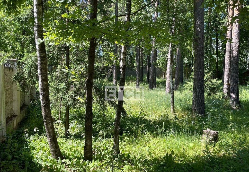 земля г Одинцово Одинцовский г. о., д. Измалково, Украинская ул., 1, Рассказовка фото 3