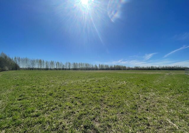 д Завражье ул Ясная Судоверфское сельское поселение, Рыбинск фото