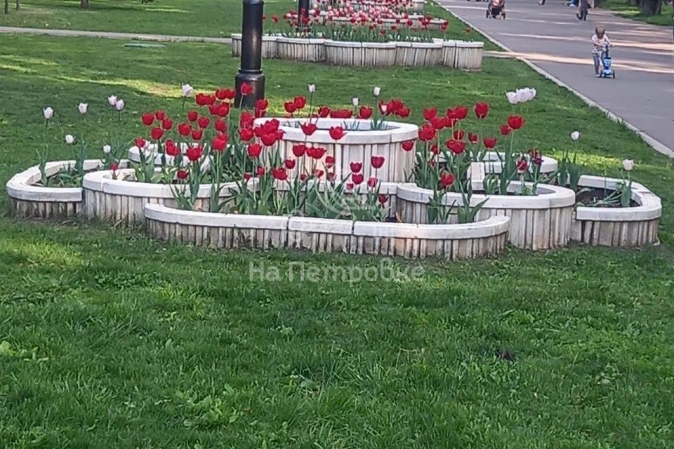 квартира г Москва б-р Маршала Рокоссовского 28/14 Восточный административный округ фото 1