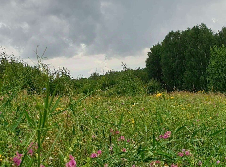 земля р-н Богородский д Шуклино фото 2