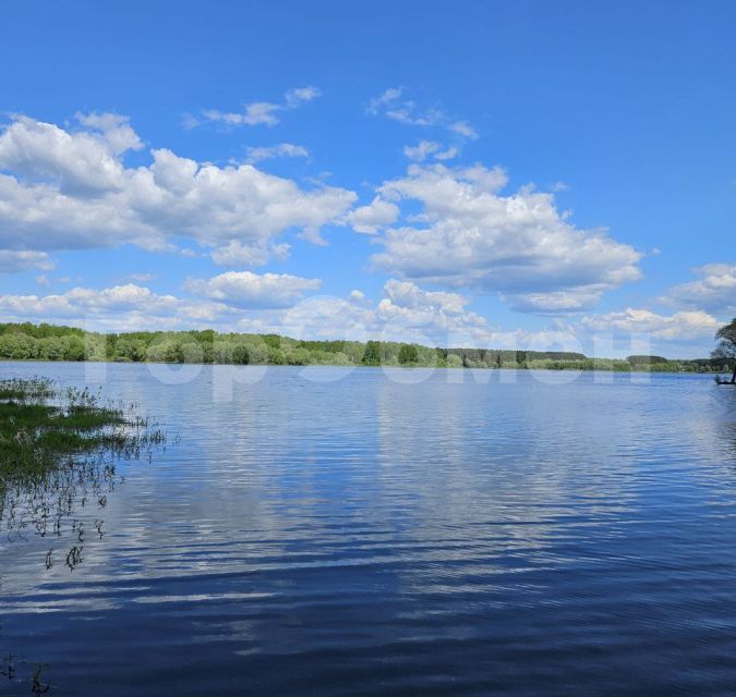 дом городской округ Можайский дачное некоммерческое товарищество Лукоморье фото 1