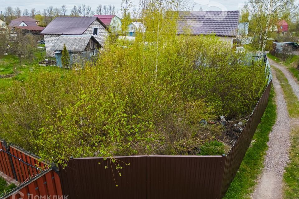 земля р-н Ломоносовский садоводческое некоммерческое товарищество Надежда ВМА имени Кирова, 4-й квартал, 42 фото 9