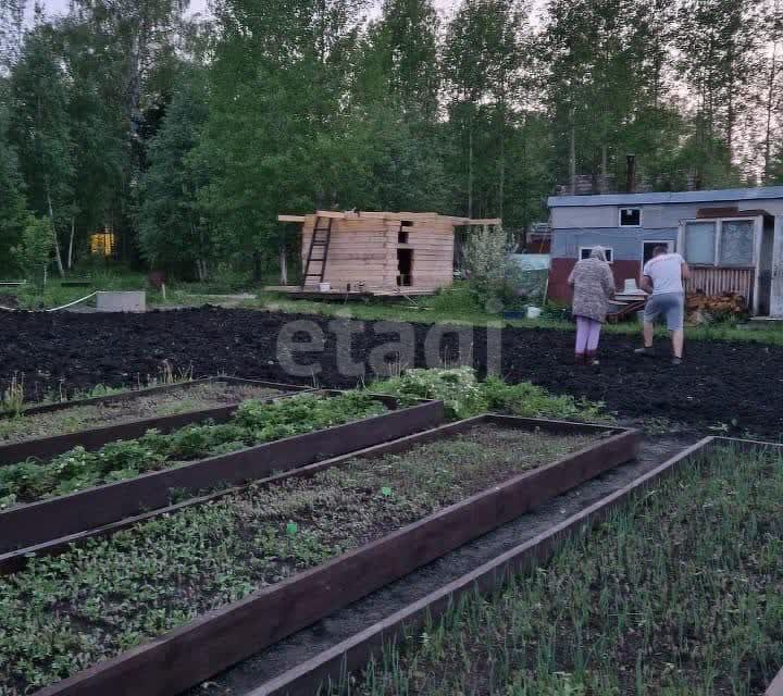 дом р-н Емельяновский садоводческое некоммерческое товарищество Кедр фото 10