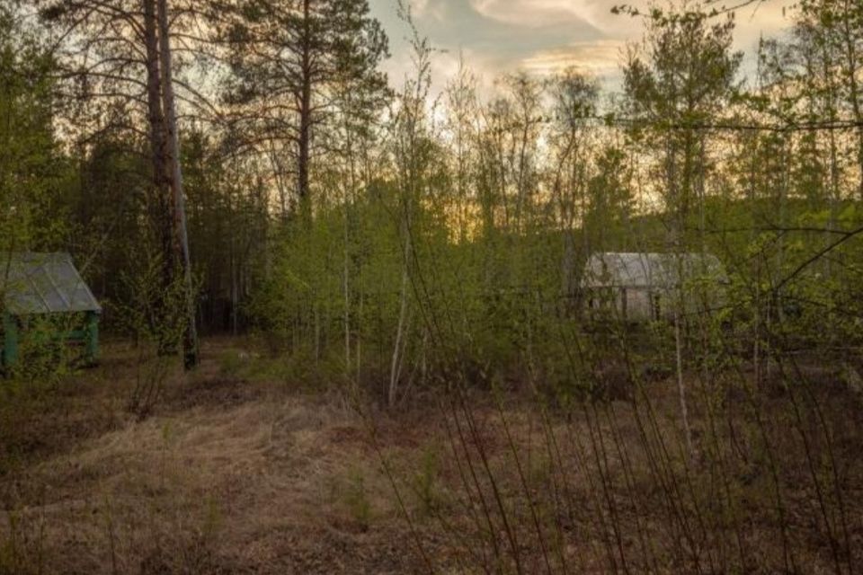 земля г Якутск городской округ Якутск, садово-огородническое товарищество Борисовское фото 7