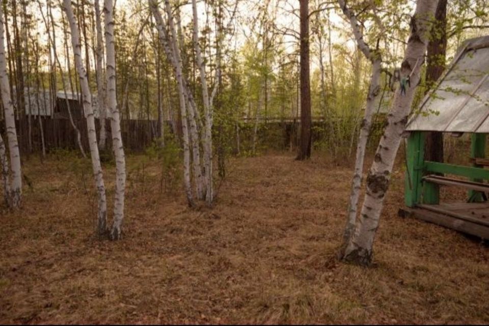 земля г Якутск городской округ Якутск, садово-огородническое товарищество Борисовское фото 9