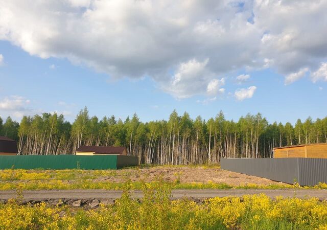 территориальное управление Юго-Западное, Бронницы фото