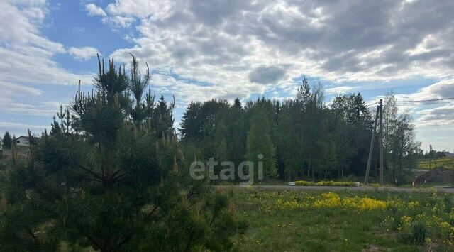 п Первомайское пос, Линтулово кп фото