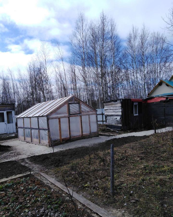 земля г Мегион снт Разведчик Тюменская обл., садово-огородническое товарищество фото 1