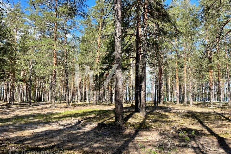 земля р-н Приозерский Петровское сельское поселение фото 9