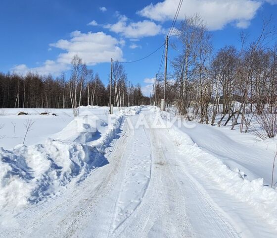 городской округ Южно-Сахалинск, СНТ Здоровье фото