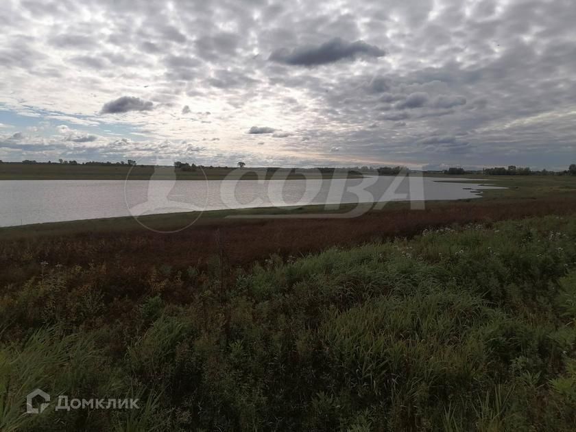 земля р-н Тобольский село Ворогушино фото 2