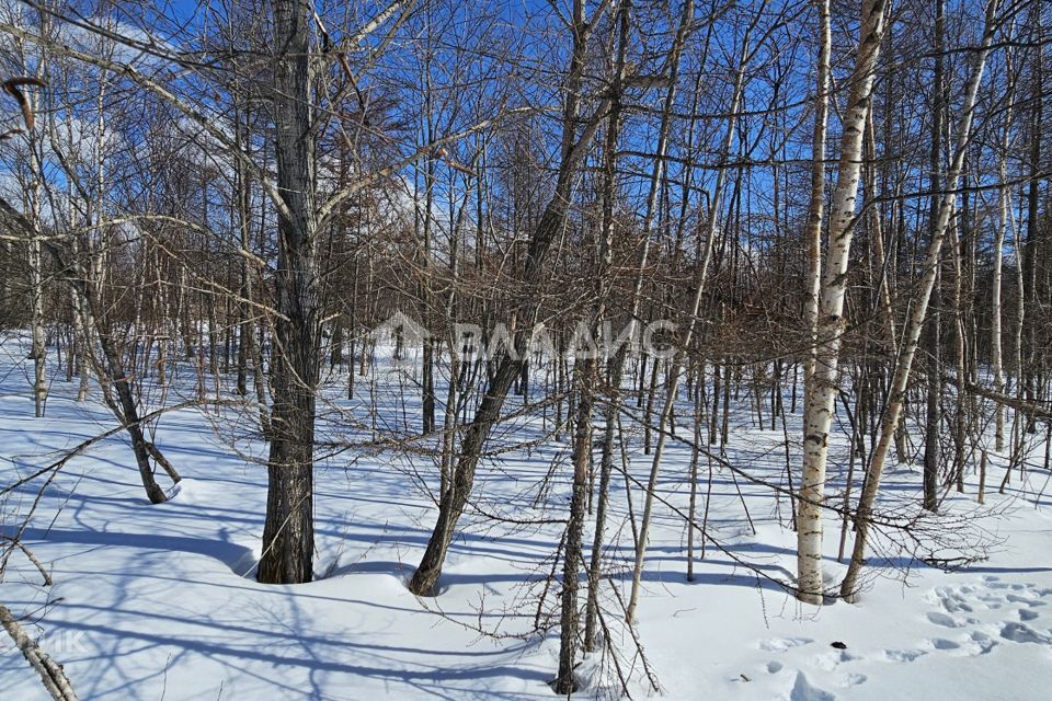 земля г Южно-Сахалинск городской округ Южно-Сахалинск, СНТ Здоровье фото 2