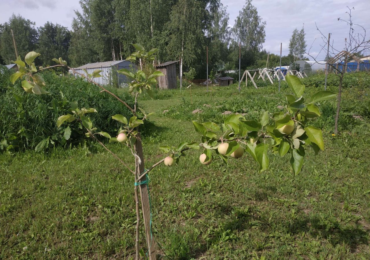 дом р-н Гатчинский п Войсковицы 32 км, Гатчинский р-н, Войсковицкое сельское поселение, Киевское шоссе фото 27