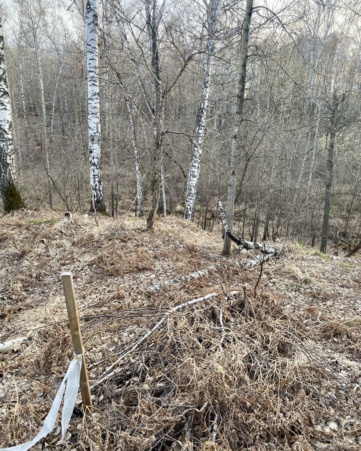 земля р-н Новосибирский Каменский сельсовет, дачный массив Микрорайон Близкий, 0-я ул, Новосибирск фото 5