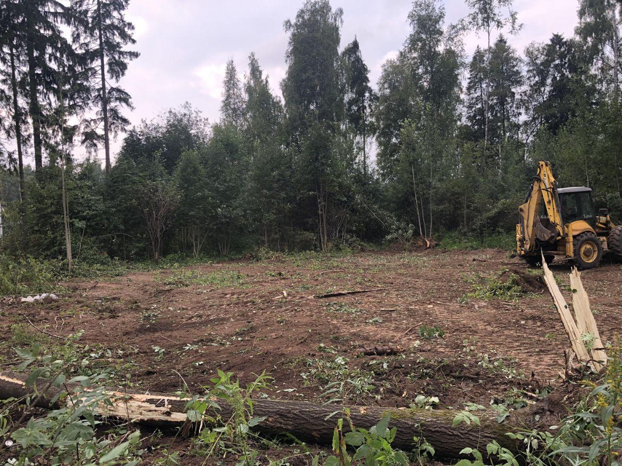 земля городской округ Дмитровский с Ильинское КП Васнецово Озеро, Васнецово озеро фото 17