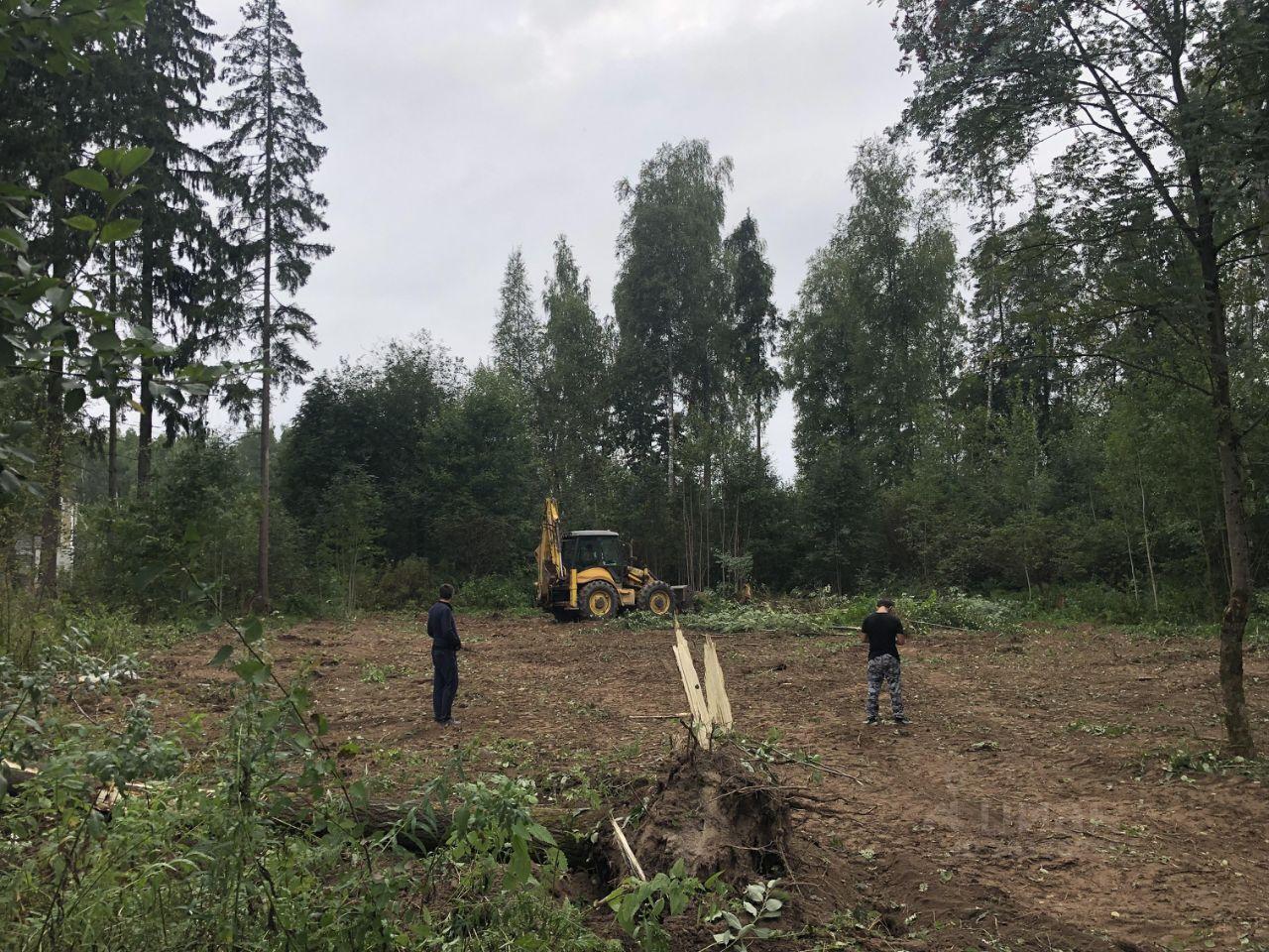 земля городской округ Дмитровский с Ильинское КП Васнецово Озеро, Васнецово озеро фото 18