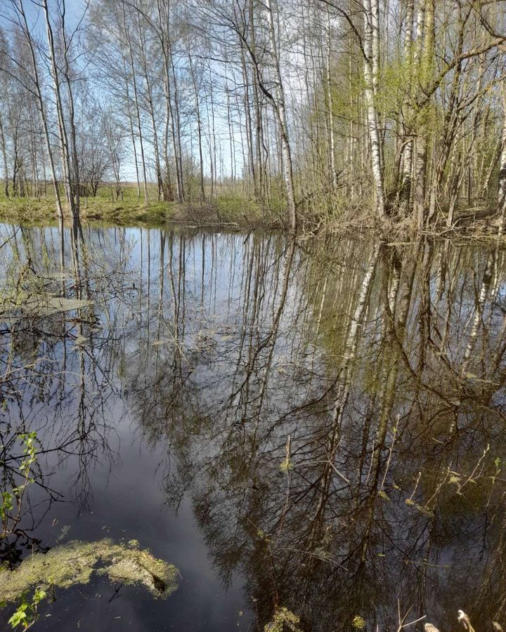 земля р-н Угличский д Илино Головинское сельское поселение, Углич фото 11