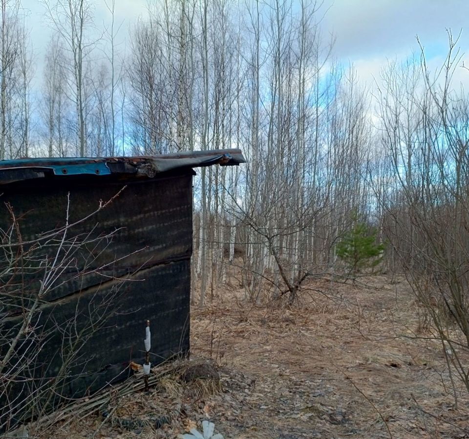 земля р-н Новгородский снт Экран Панковское городское поселение, садоводческий массив № 3, садоводческое товарищество, Панковка фото 4