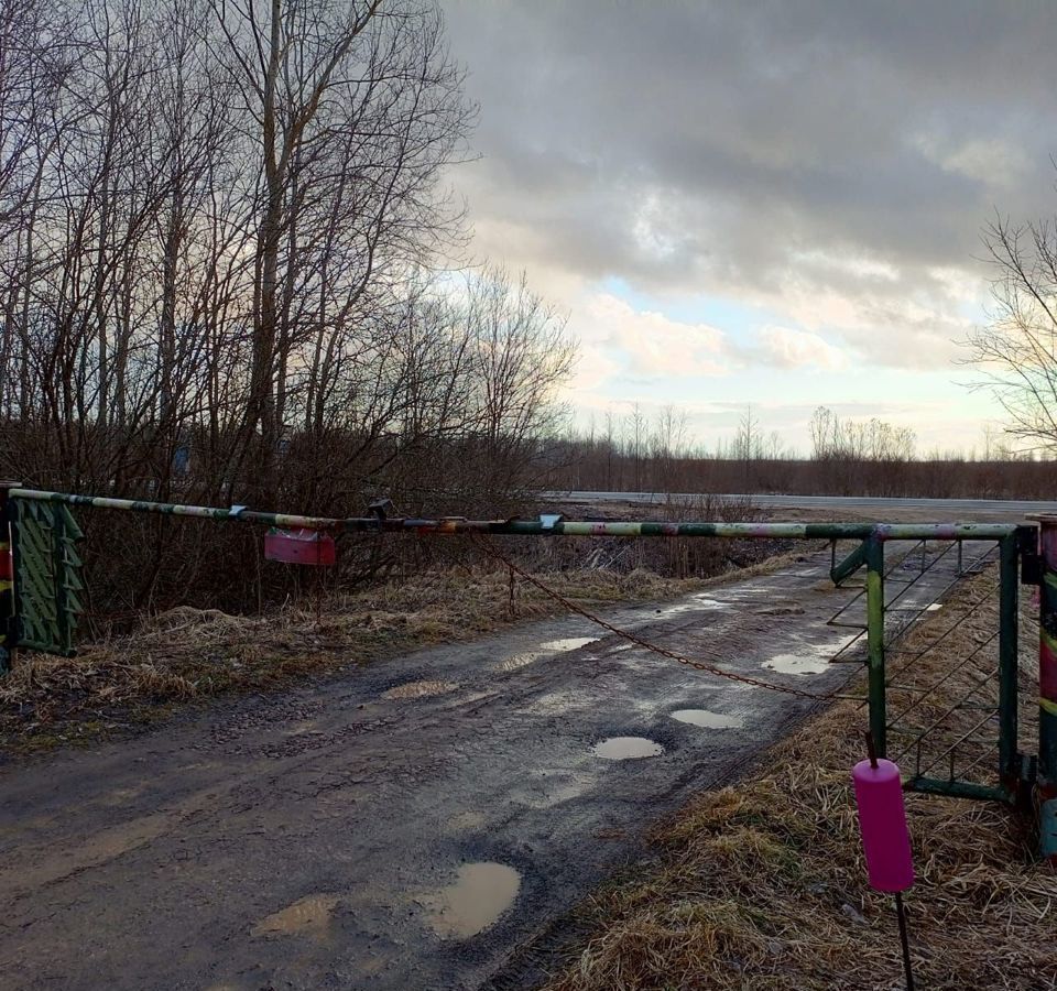 земля р-н Новгородский снт Экран Панковское городское поселение, садоводческий массив № 3, садоводческое товарищество, Панковка фото 11