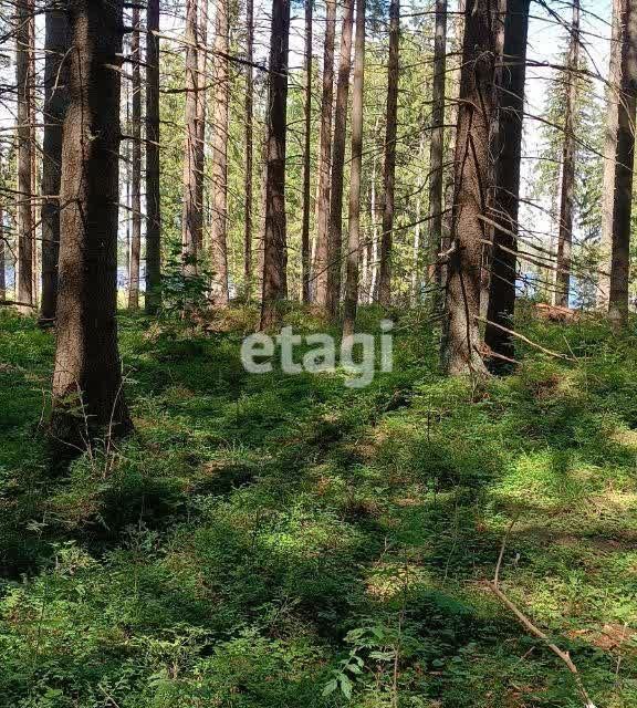 земля р-н Выборгский Приморское городское поселение фото 4