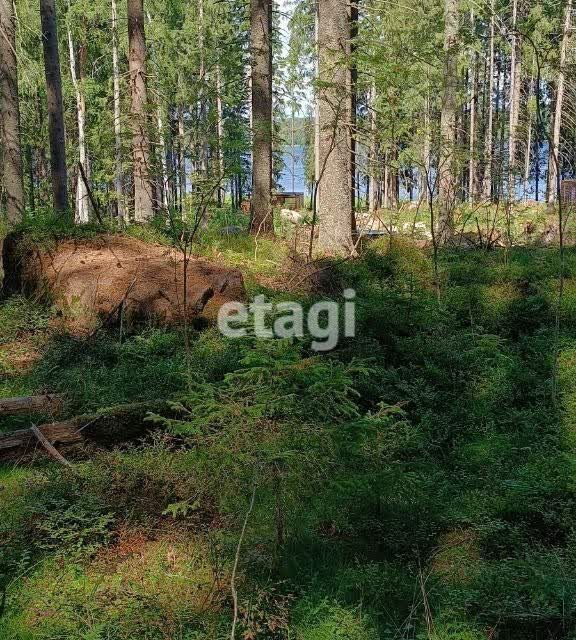 земля р-н Выборгский Приморское городское поселение фото 6