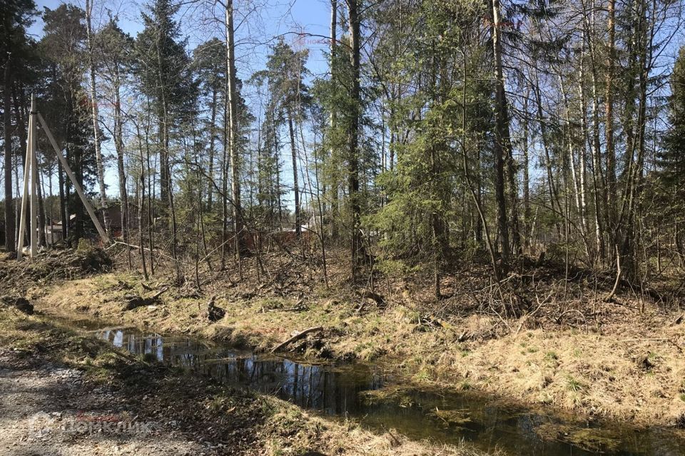 земля городской округ Верхняя Пышма, посёлок Ольховка фото 1