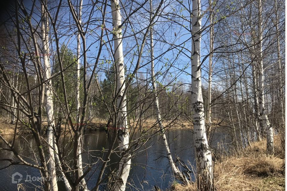 земля городской округ Верхняя Пышма, посёлок Ольховка фото 6