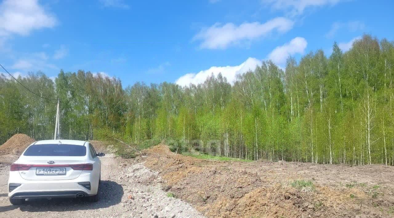 земля р-н Томский д Новомихайловка ДНП, ул. Ореховая, Кедры фото 6