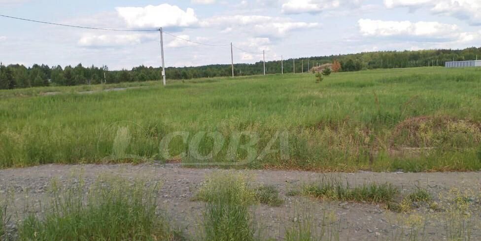 земля р-н Нижнетавдинский территория Озера Сундукуль, Тюмень фото 10