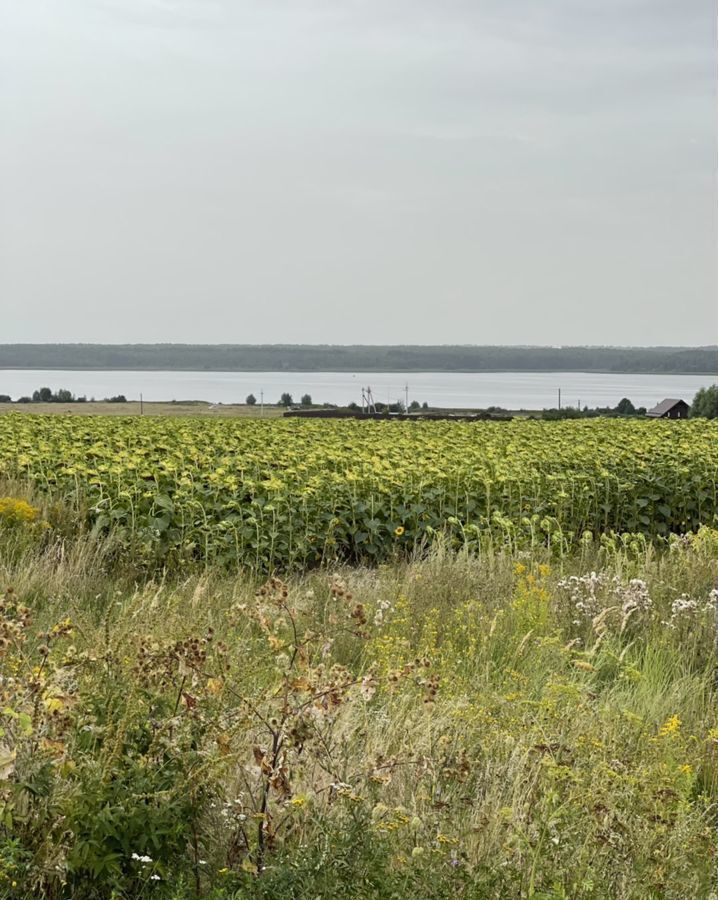 земля р-н Железногорский д Копенки Железногорск фото 8