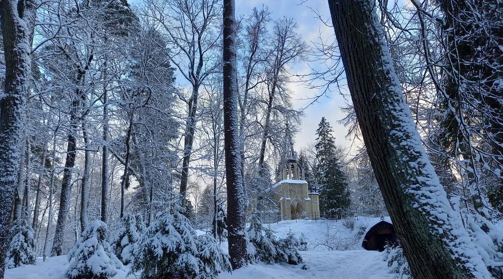 квартира г Санкт-Петербург п Парголово ул Заречная 13к/3 метро Парнас фото 6