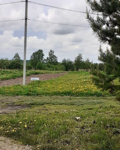 земля Курбское сельское поселение, Дубки фото