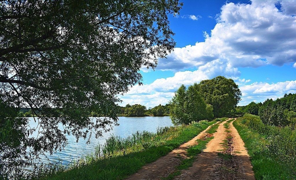 земля р-н Бондарский с Пахотный Угол ул Урицкого Бондари фото 14