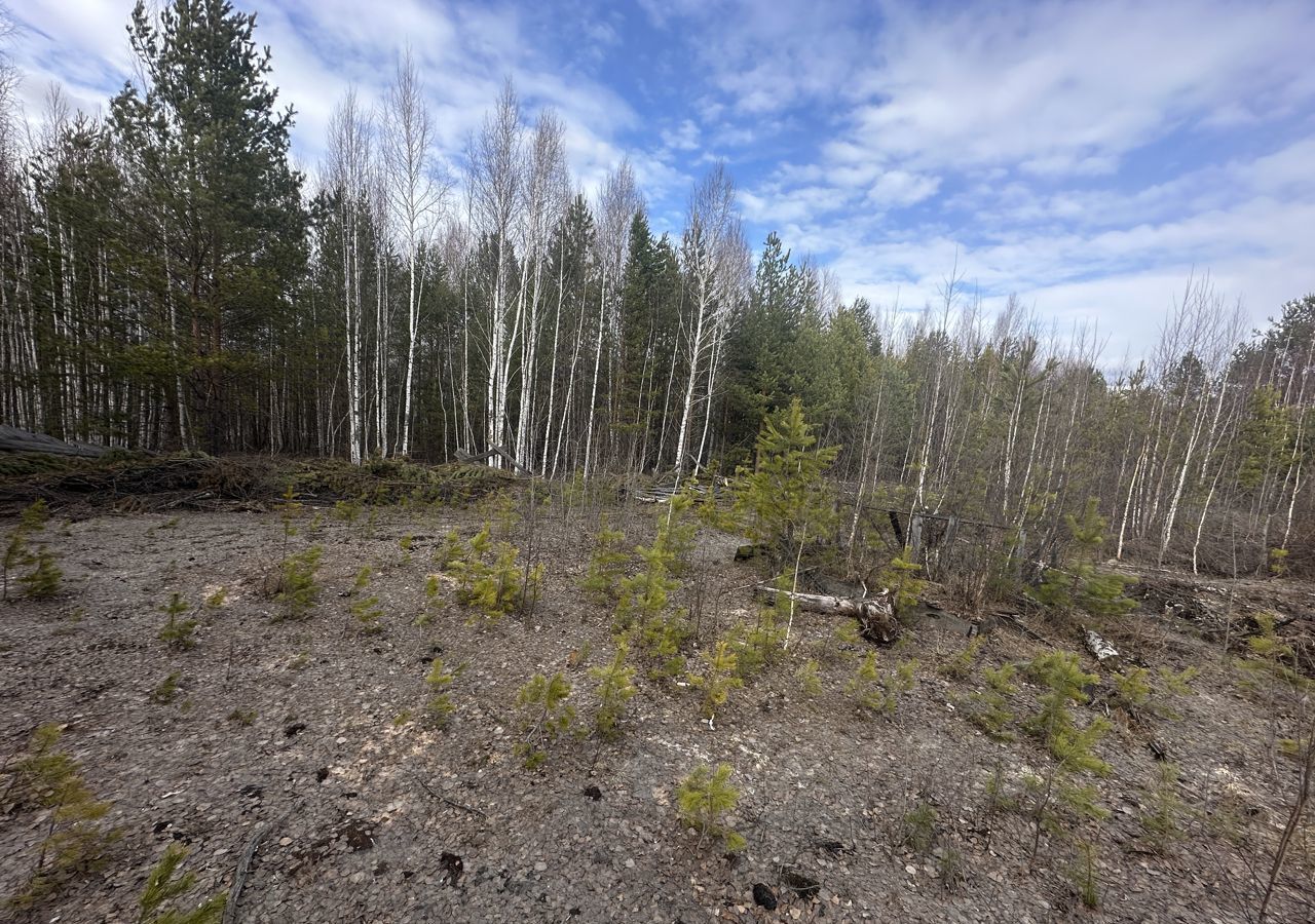 земля г Екатеринбург р-н Чкаловский снт Ветеран-3 фото 8