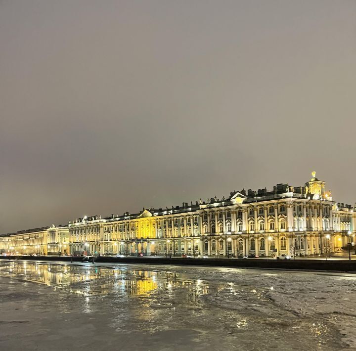 квартира г Санкт-Петербург метро Спортивная ул Блохина 4 фото 14