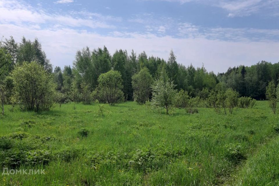 земля р-н Приозерский Раздольевское сельское поселение фото 2