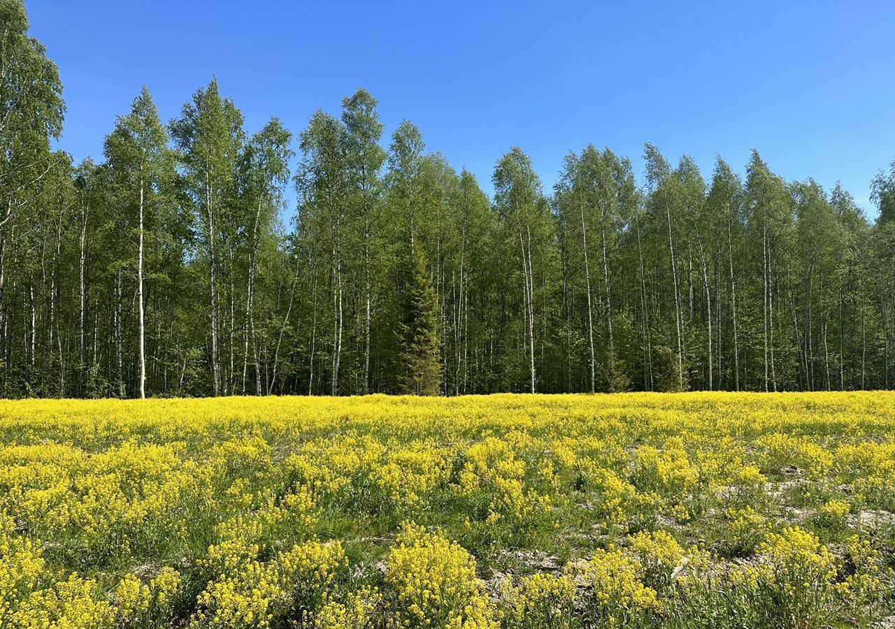 земля р-н Кировский д Турышкино Мгинское городское поселение, Мга фото 1