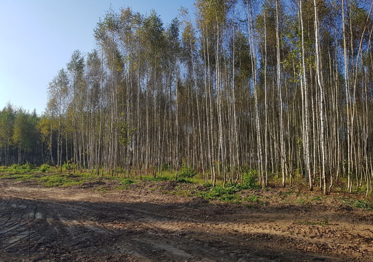 земля городской округ Дмитровский д Капорки 41 км, Яхрома, Дмитровское шоссе фото 6