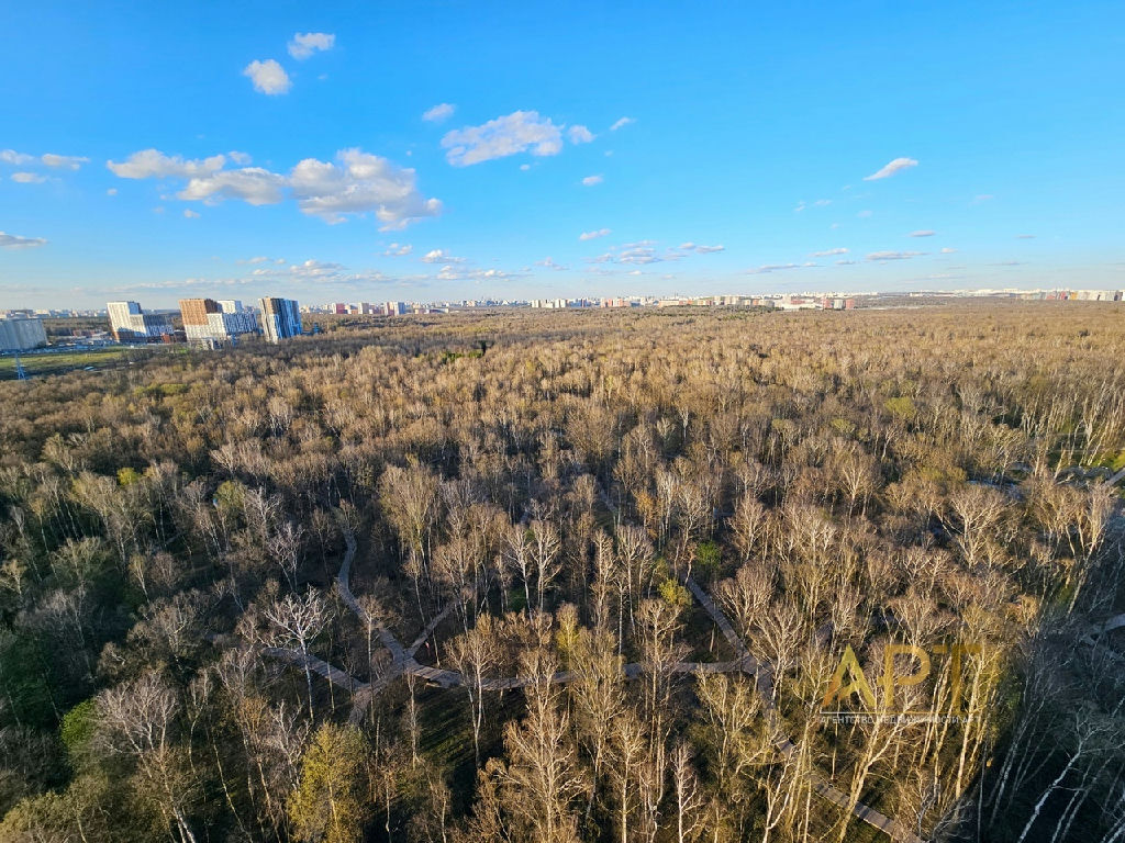 квартира городской округ Ступино д Радужная Филатов луг, ул., 9, Московский фото 2