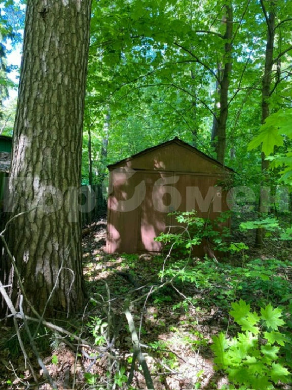 земля городской округ Раменский п Быково пгт Дачная ул., 31 фото 2