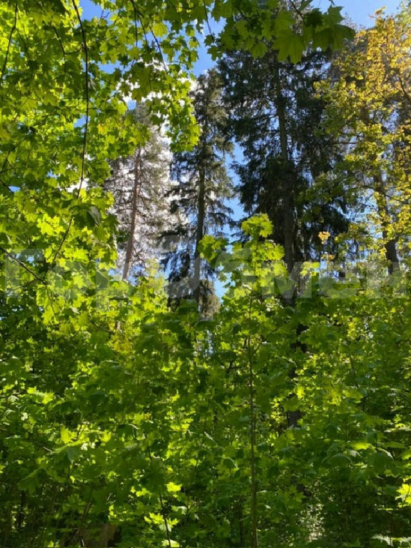 земля городской округ Раменский п Быково пгт Дачная ул., 31 фото 3