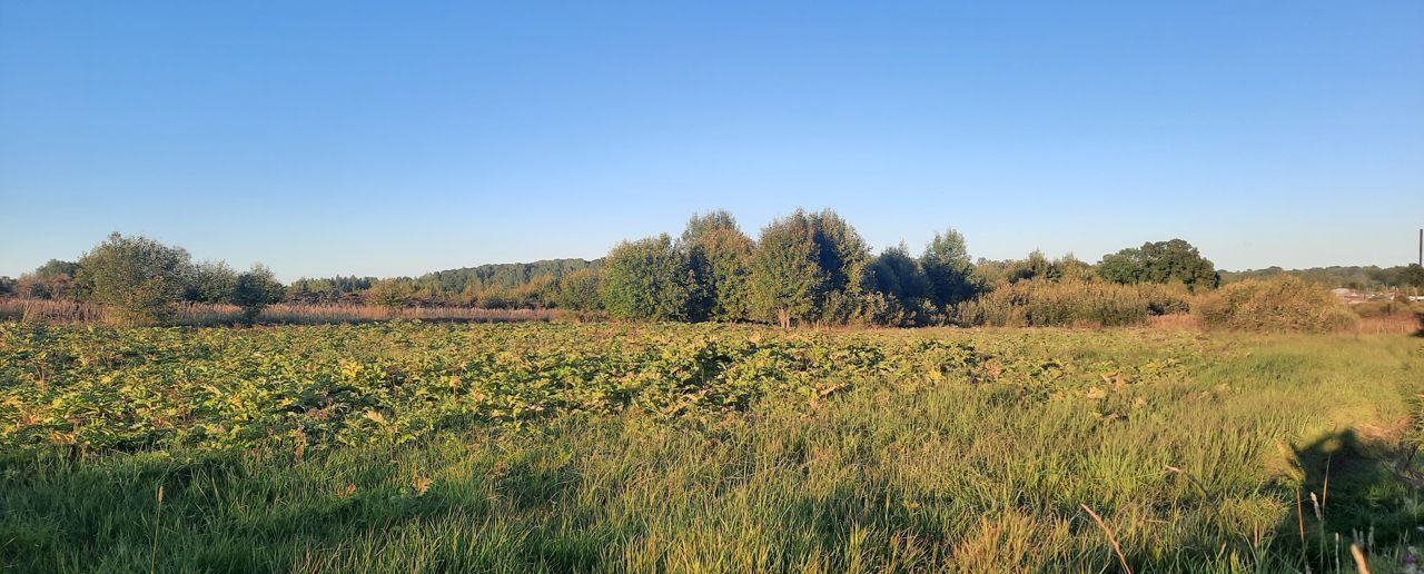 земля городской округ Наро-Фоминский д Веселево Верея фото 6