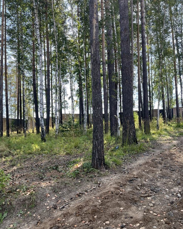 земля р-н Иркутский д Новолисиха Ушаковское муниципальное образование, квартал Резиденция XV, Иркутск фото 2