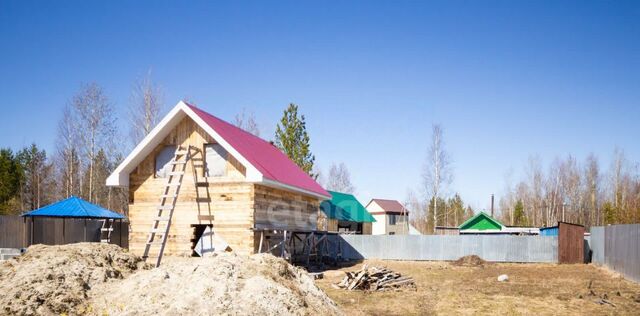 снт Дорожник ДНТ, 2 фото