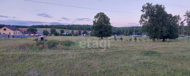 земля Новокашировское сельское поселение, Альметьевск фото