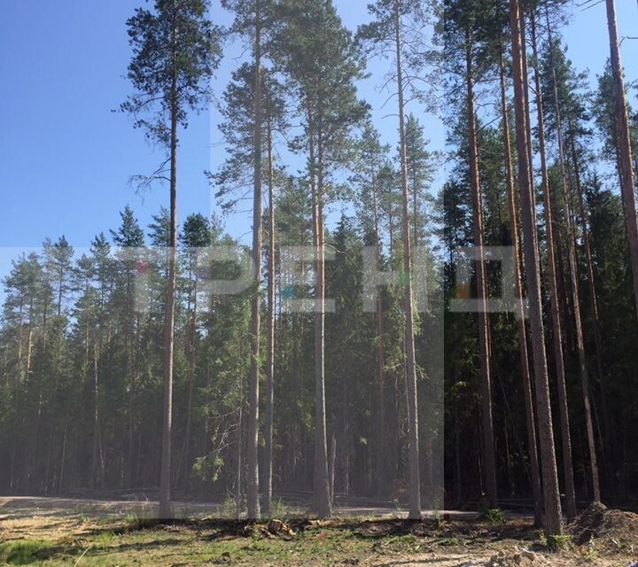 земля р-н Выборгский городской посёлок Рощино, Пойменный проезд фото 2