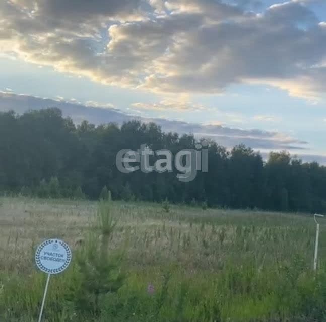 земля р-н Благовещенский село Владимировка фото 1