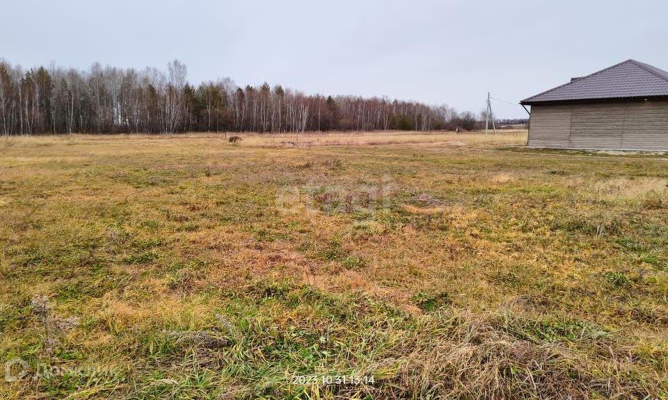 земля р-н Благовещенский село Владимировка фото 2