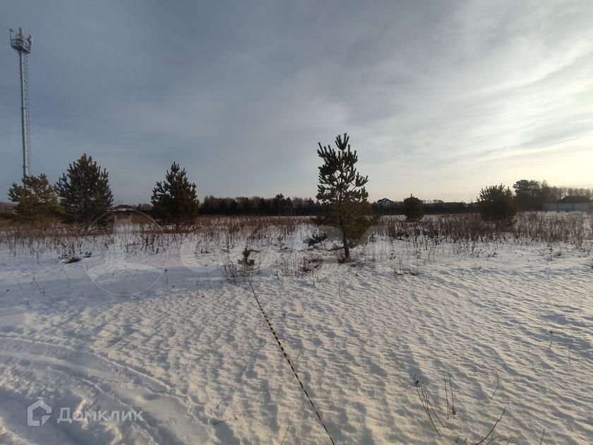 земля р-н Тюменский коттеджный посёлок Новокаменский, улица Васнецова фото 1